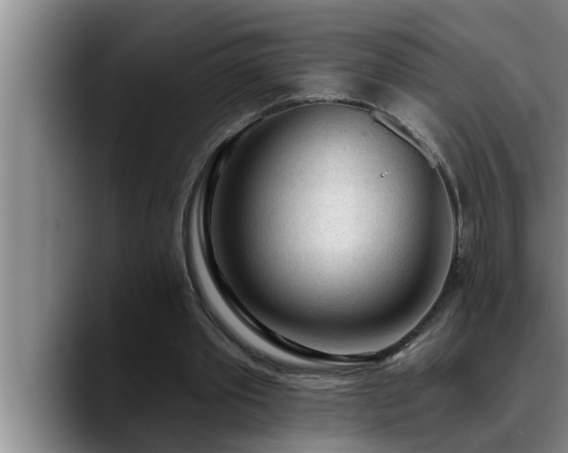 X0000090710389200707201219