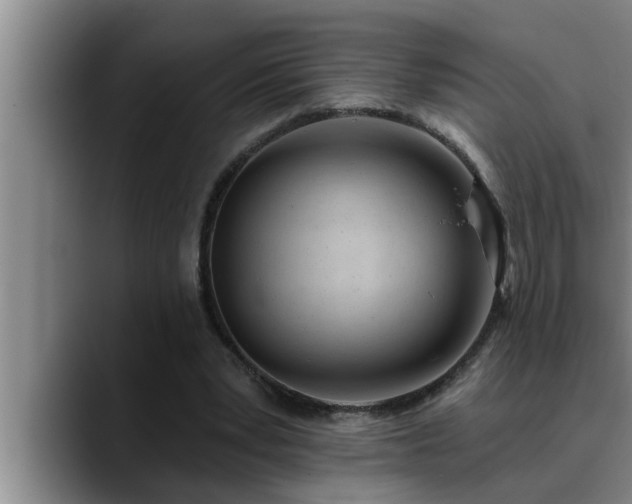 X0000090710391200707201219