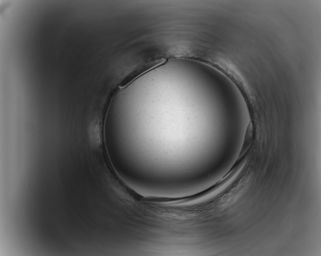 X0000090710393200707201219