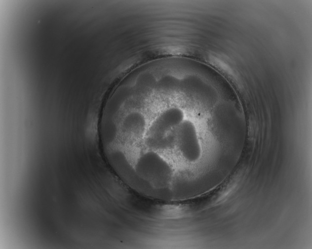 X0000090710394200707201219