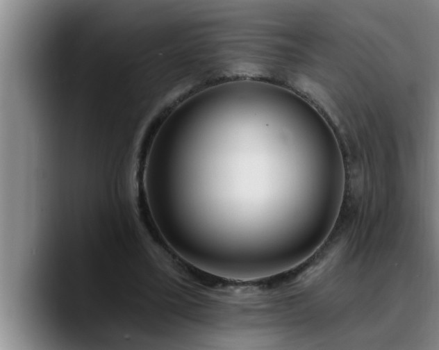 X0000090710395200707201219