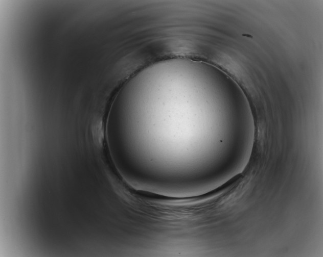 X0000090710397200707201219