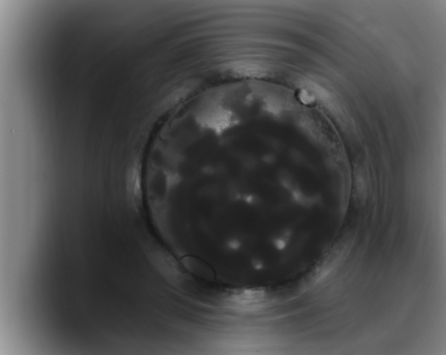 X0000090710398200707201219