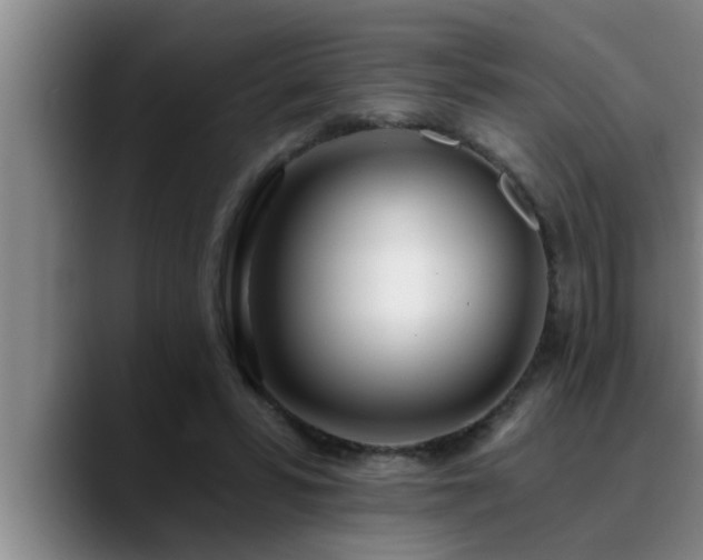 X0000090710399200707201219