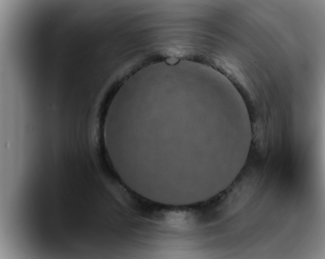 X0000090710400200707201219