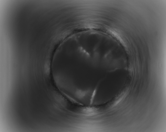 X0000090710402200707201219