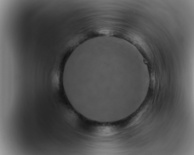 X0000090710404200707201219