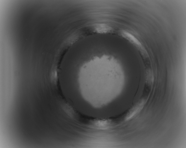 X0000090710405200707201219