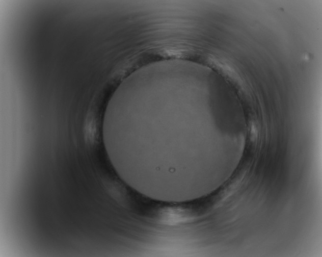 X0000090710408200707201219