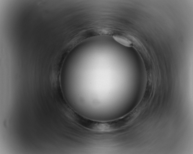 X0000090710409200707201219