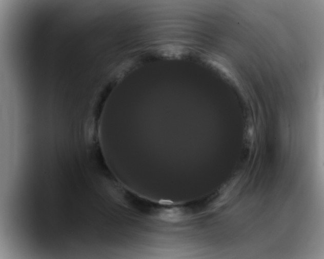 X0000090710411200707201219