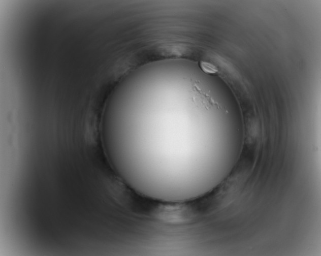 X0000090710414200707201219