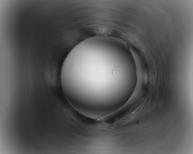 X0000090710416200707201219