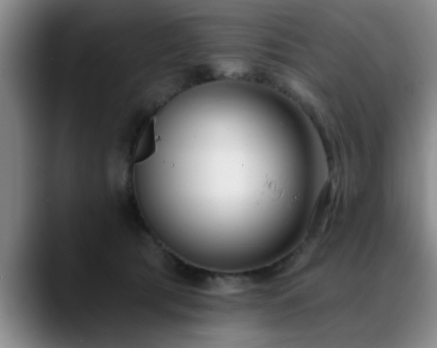 X0000090710417200707201219