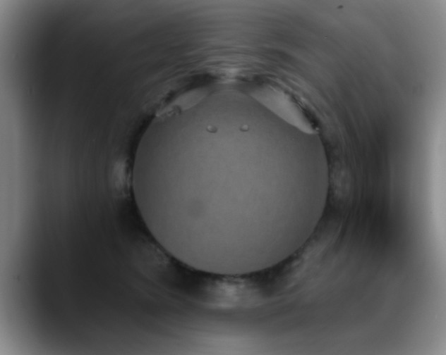 X0000090710420200707201219