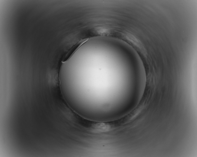 X0000090710421200707201219