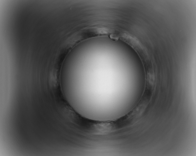 X0000090710422200707201219