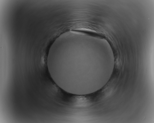 X0000090710424200707201219