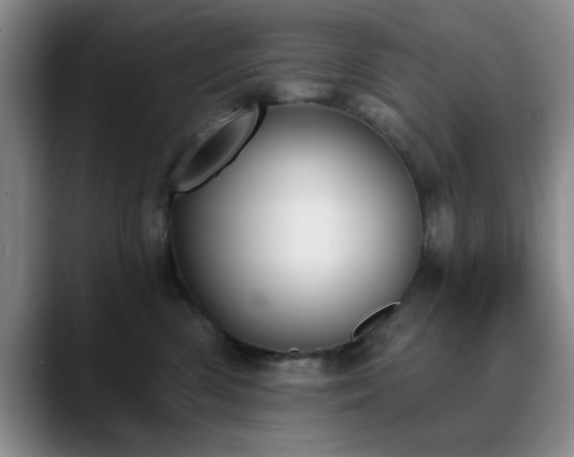 X0000090710426200707201219