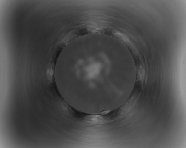 X0000090710427200707201219