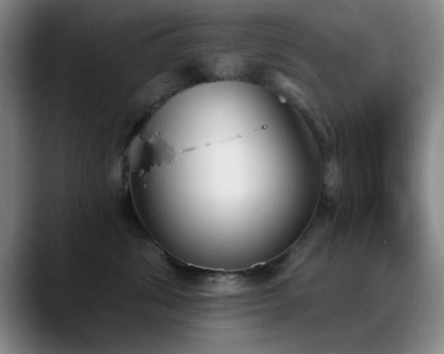 X0000090710428200707201219