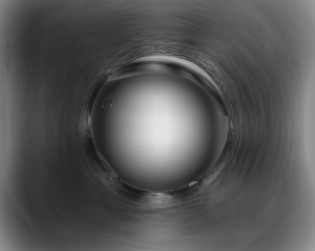 X0000090710429200707201219