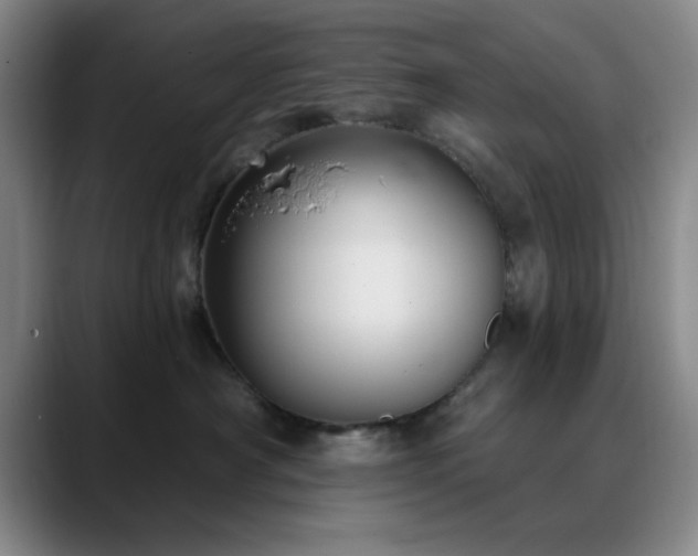 X0000090710430200707201219