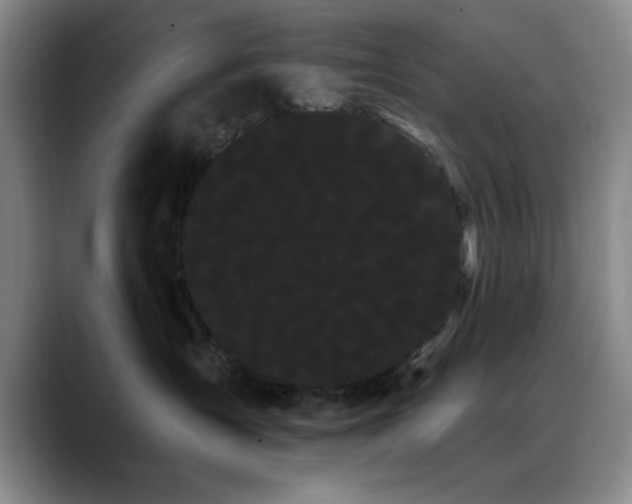 X0000090710431200707201219