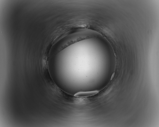 X0000090710432200707201219