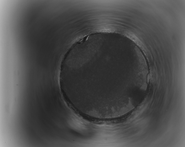 X0000090710434200707201218