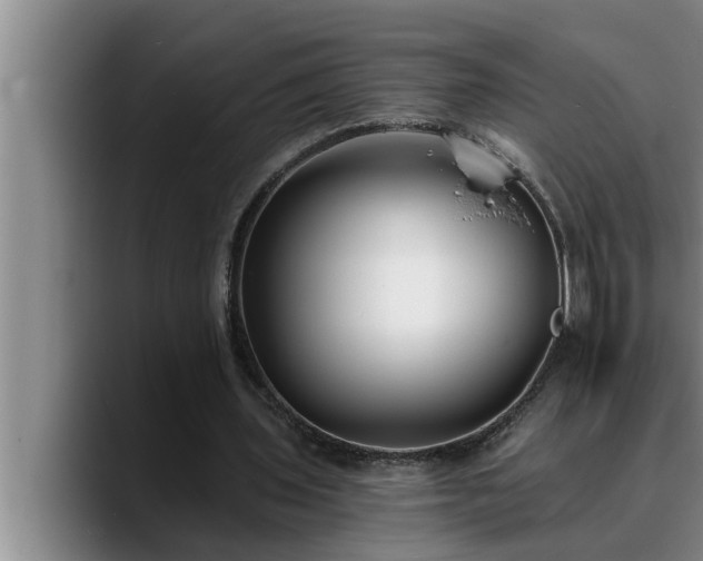 X0000090710435200707201218