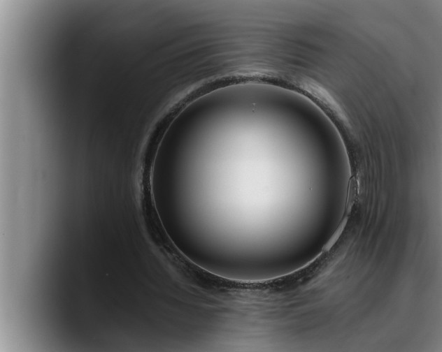 X0000090710436200707201218