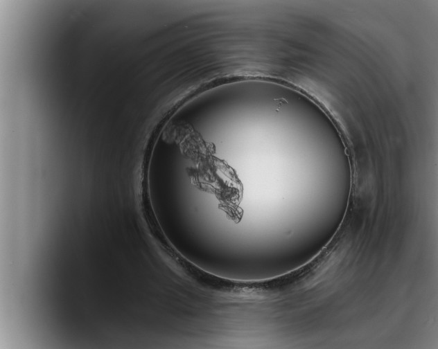 X0000090710437200707201218