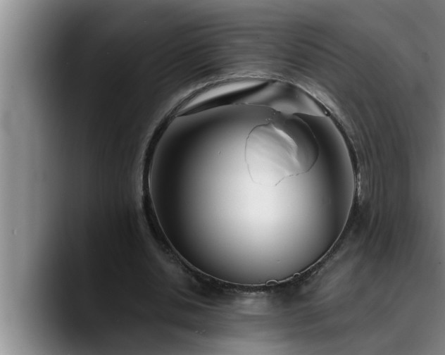 X0000090710438200707201218