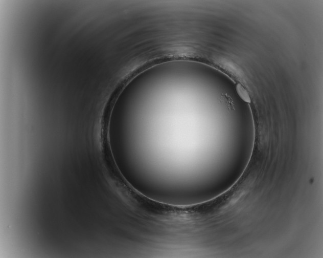 X0000090710439200707201218