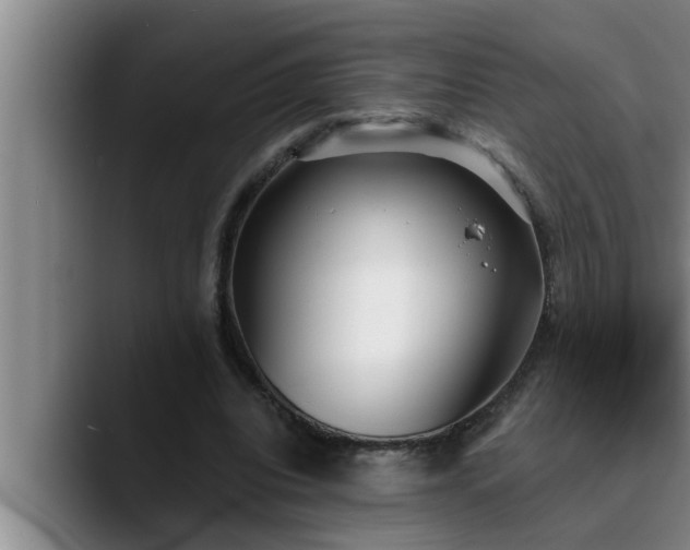 X0000090710440200707201218