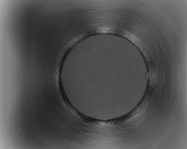 X0000090710442200707201218