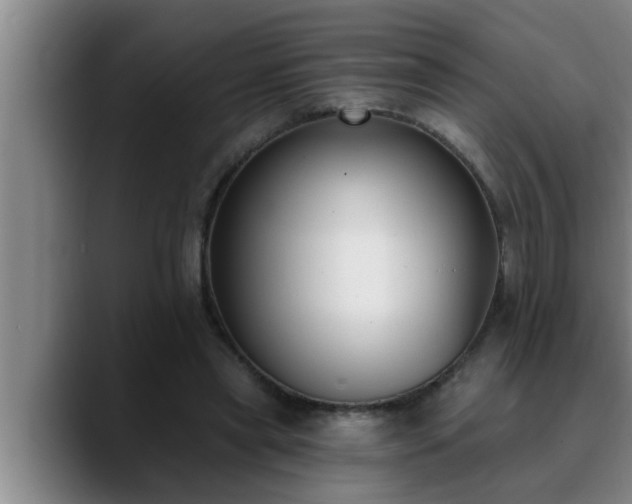 X0000090710445200707201218