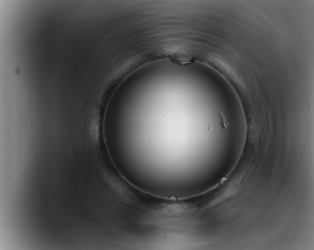 X0000090710446200707201218