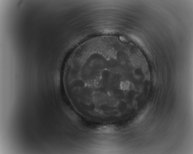 X0000090710447200707201218