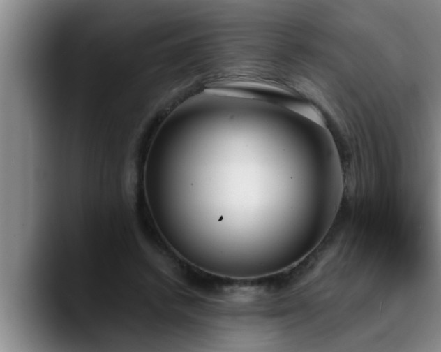 X0000090710448200707201218