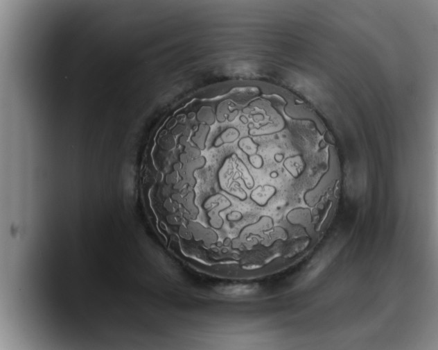 X0000090710449200707201218