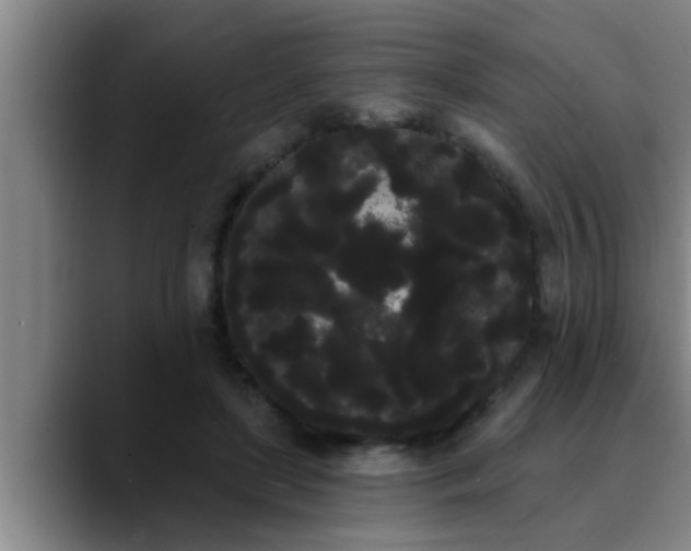 X0000090710451200707201218