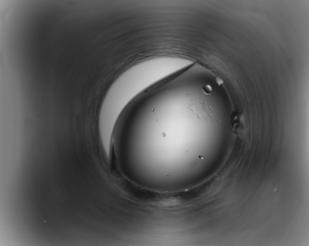 X0000090710456200707201218