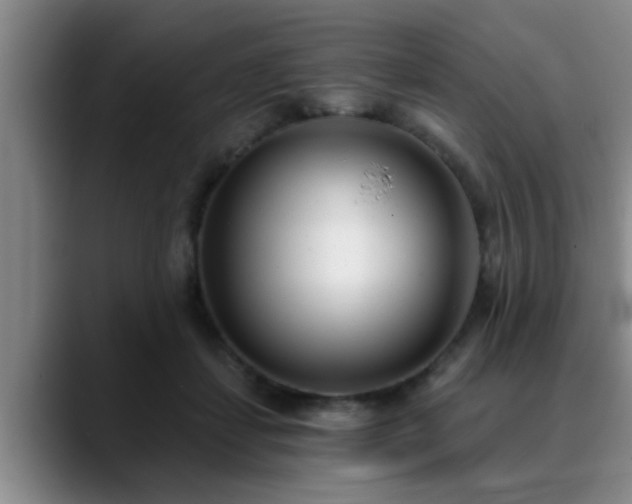 X0000090710459200707201218