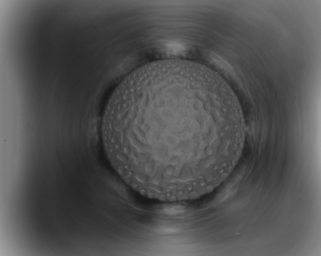 X0000090710462200707201218