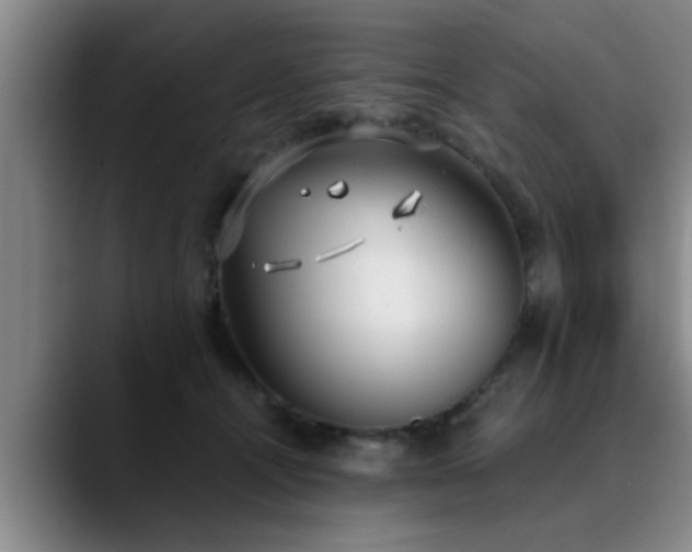 X0000090710464200707201218