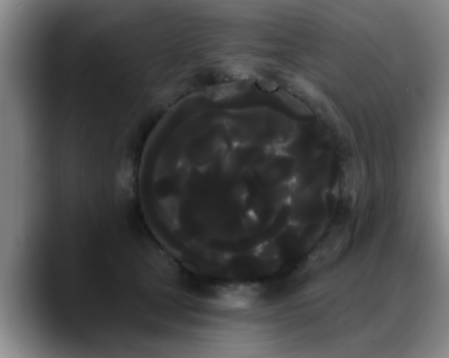 X0000090710465200707201218