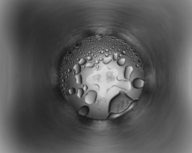 X0000090710469200707201218