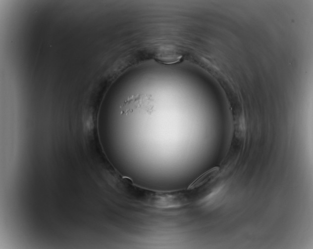 X0000090710472200707201218